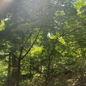 Meet your Posher, Manaswi